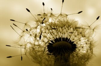 Plants That Will Help You Survive In The Wild