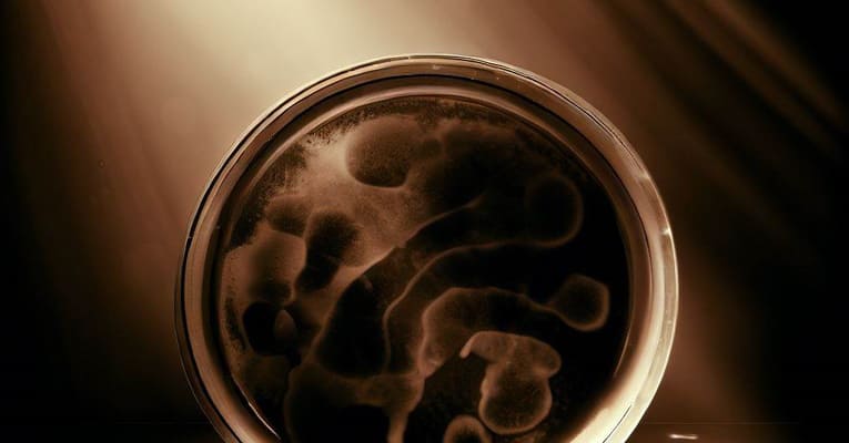 a petri dish in a dark laboratory in scepia colors