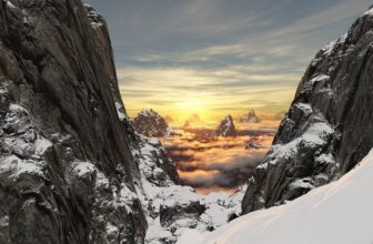 Survival In Extreme Cold