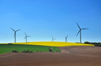 Surviving With Alternative Types of Energy