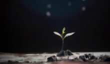 Preserving Seeds For Years To Come