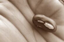 Protein Power: Water-Efficient Crops For Self-Sufficient Preppers