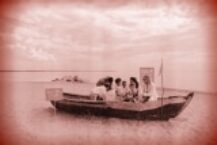 How to Stay Safe And Protect Your Family During Crisis