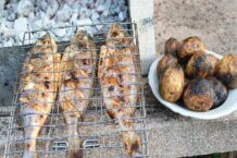 Preserving Fish and Meat Products in Camping Conditions
