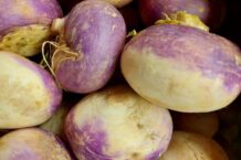 Survivalist’s Garden: Planting Rutabaga
